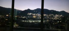 Night Sky View